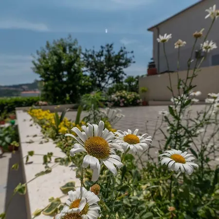 Flora Τρογκίρ